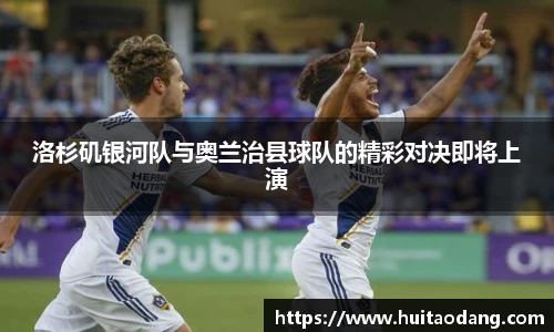 bsports登录入口